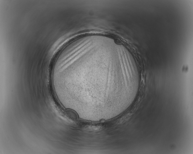 X0000114600247200911161401