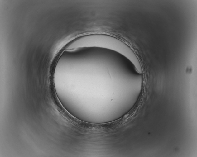 X0000114600248200911161401