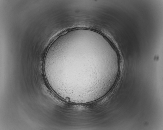 X0000114600249200911161401