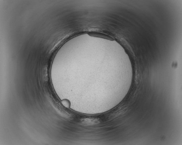 X0000114600251200911161401