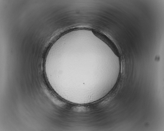 X0000114600253200911161401