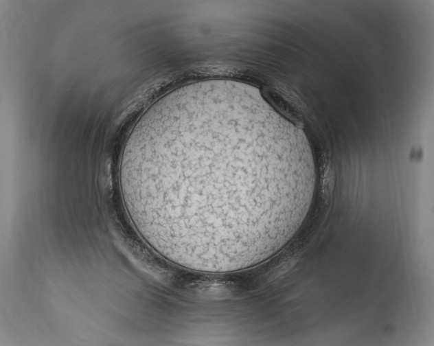 X0000114600254200911161401