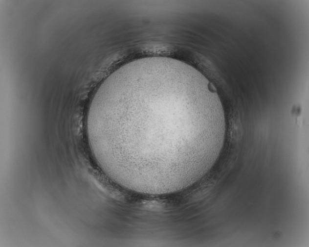 X0000114600259200911161401