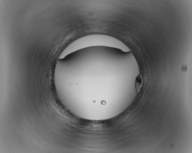 X0000114600260200911161401