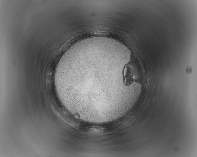 X0000114600263200911161401