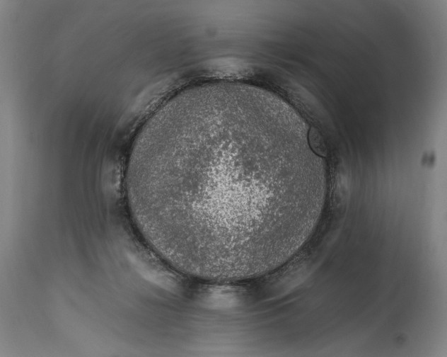 X0000114600268200911161401