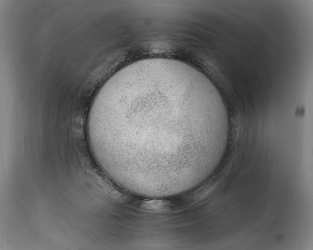 X0000114600269200911161401