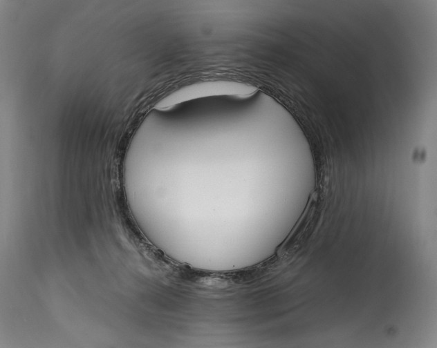 X0000114600272200911161401