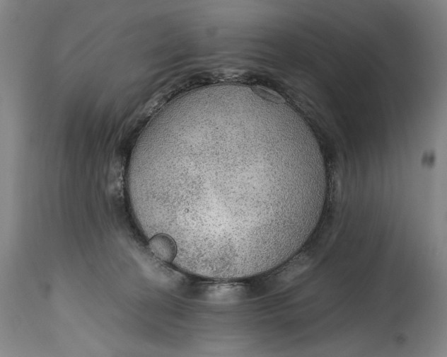 X0000114600274200911161402