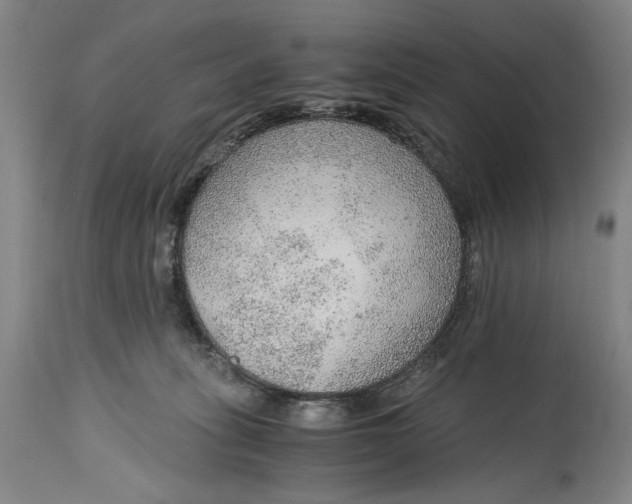 X0000114600275200911161402