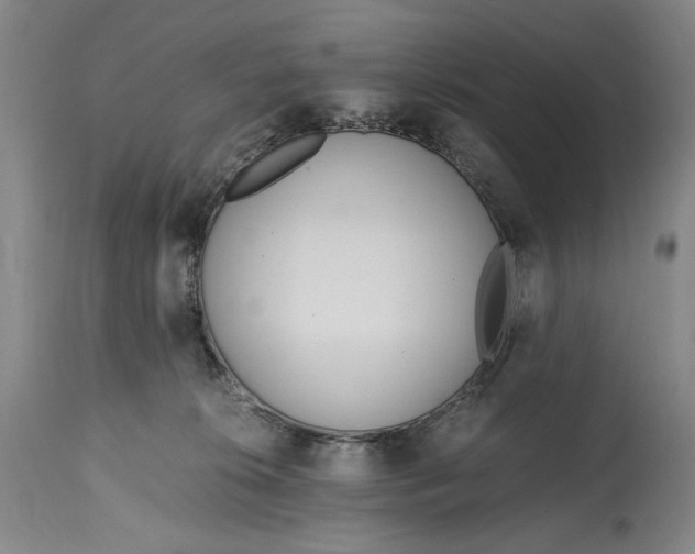 X0000114600276200911161402