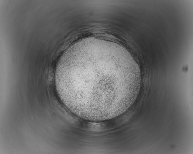 X0000114600277200911161402