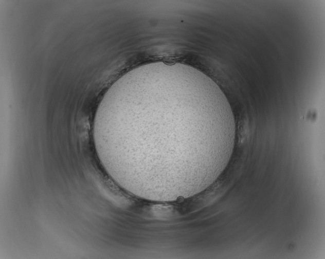 X0000114600279200911161402