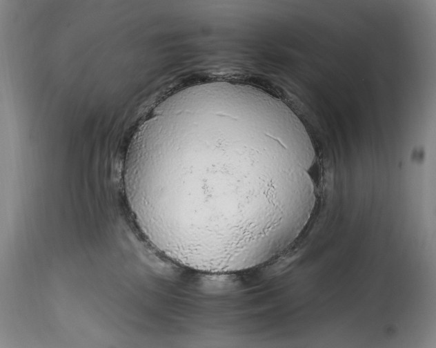 X0000114600281200911161402