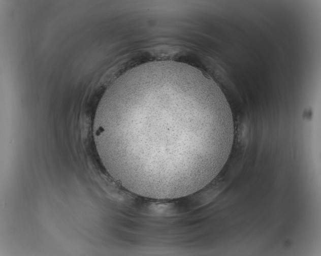 X0000114600283200911161402