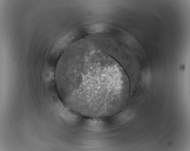 X0000114600284200911161402