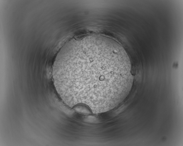 X0000114600285200911161402