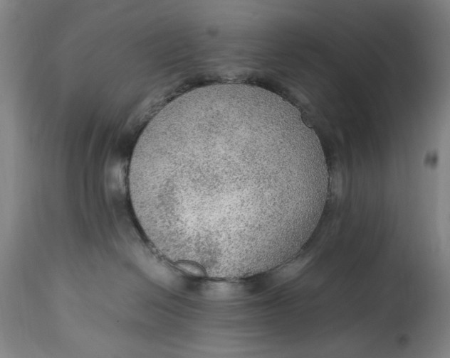 X0000114600286200911161402