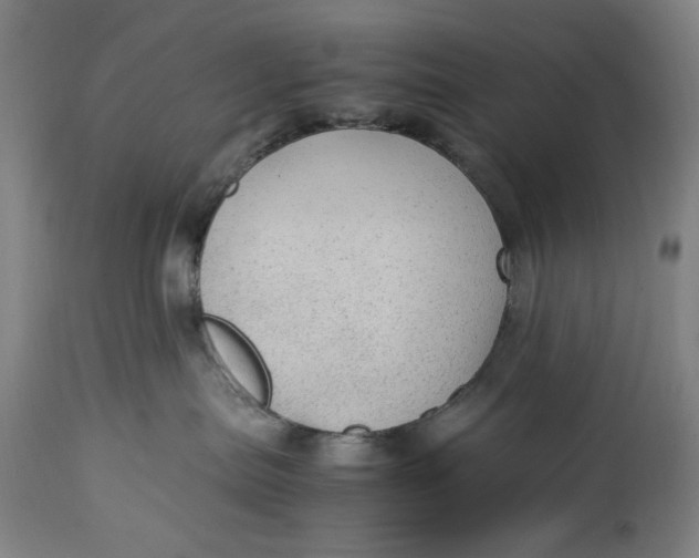 X0000114600287200911161402