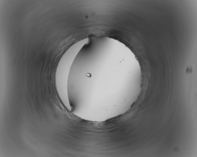 X0000114600288200911161402