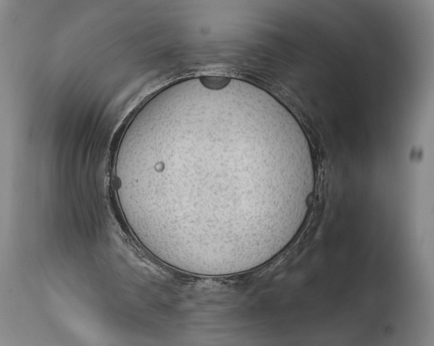 X0000114600290200911161401