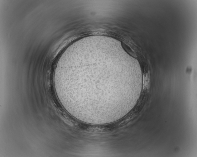 X0000114600291200911161401