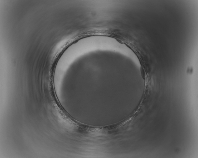 X0000114600293200911161401