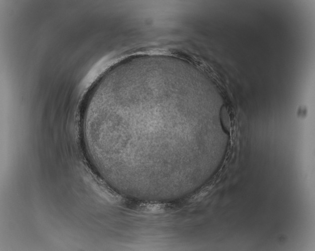 X0000114600295200911161401