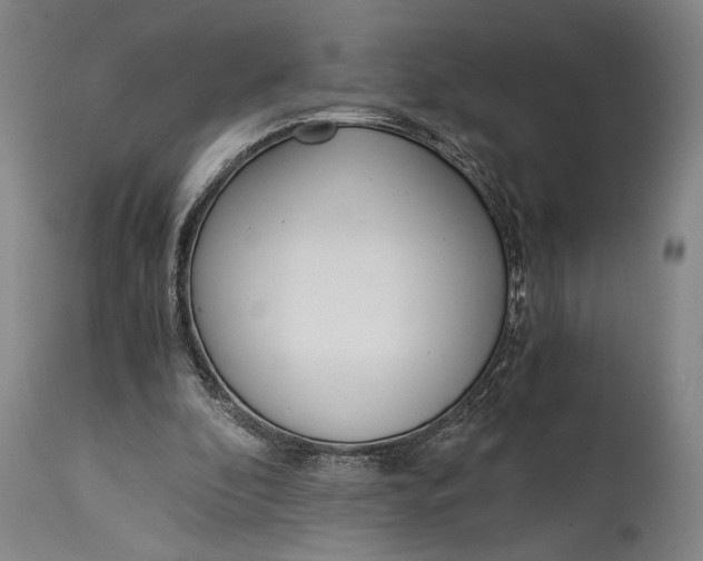 X0000114600296200911161401