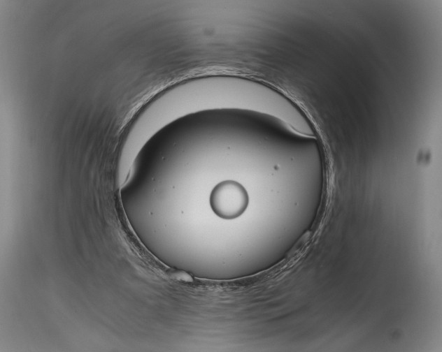 X0000114600297200911161401