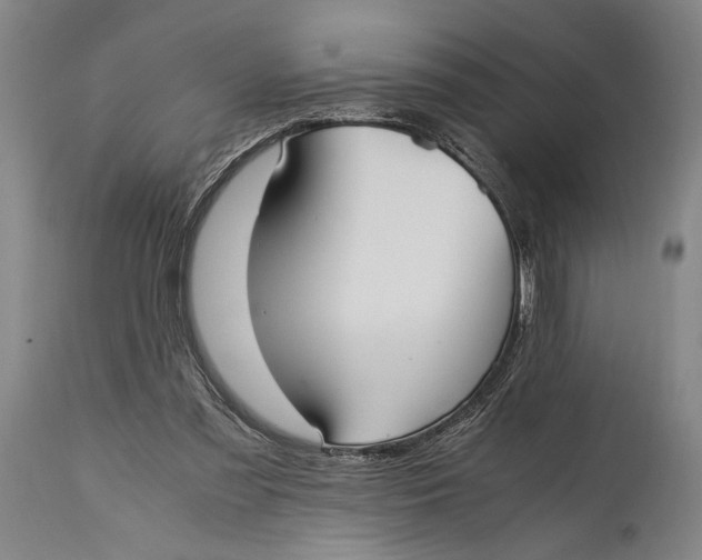 X0000114600301200911161401