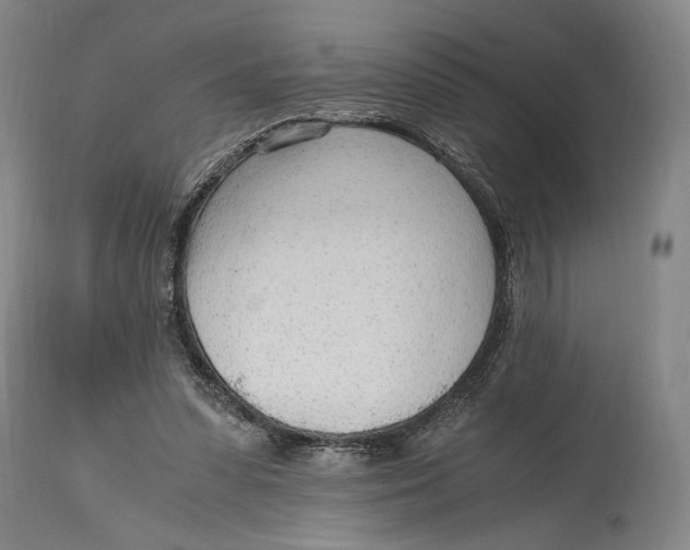 X0000114600303200911161401