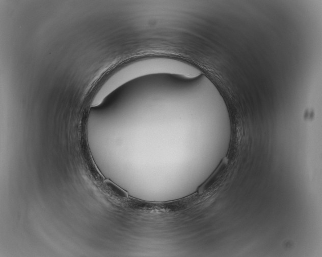 X0000114600304200911161401