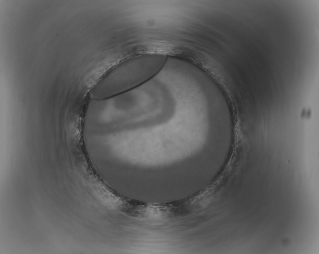 X0000114600305200911161401