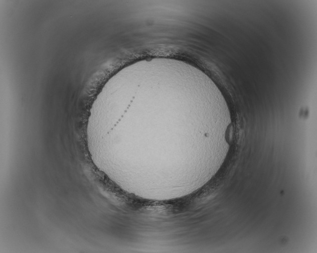 X0000114600307200911161401