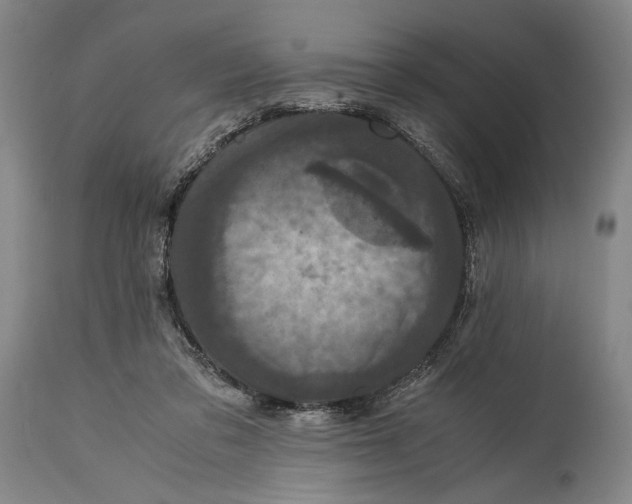 X0000114600309200911161401