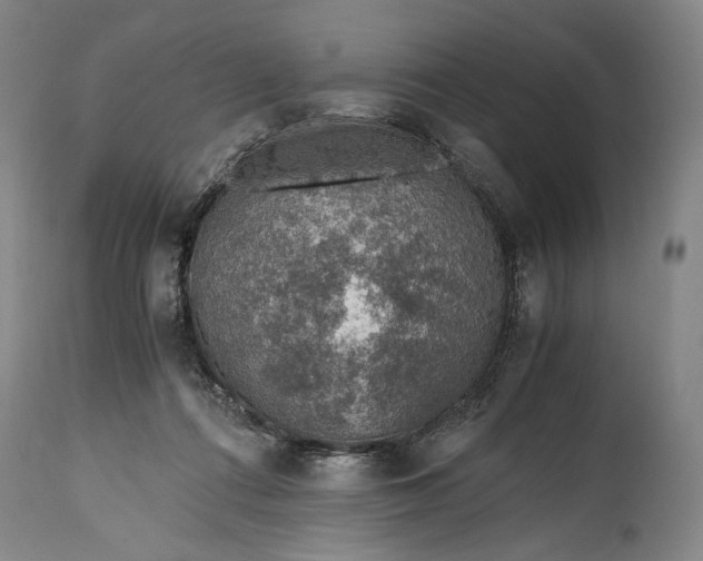 X0000114600312200911161401