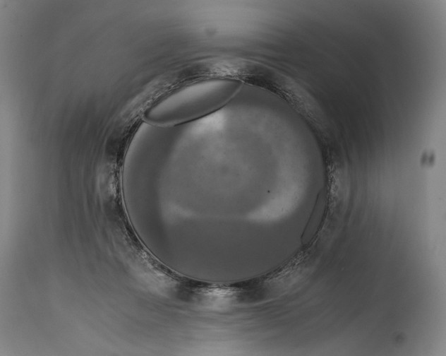 X0000114600313200911161401