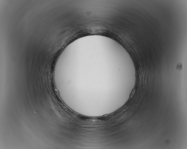 X0000114600316200911161401