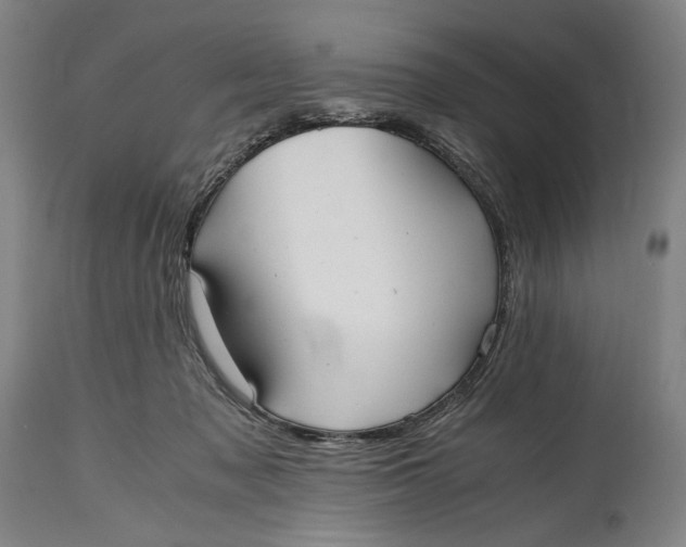 X0000114600317200911161401