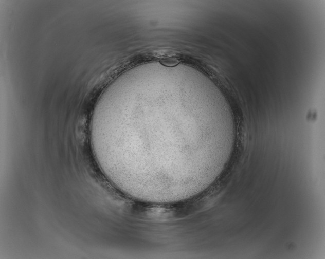 X0000114600319200911161401