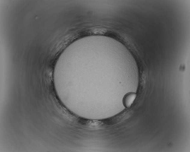 X0000114600321200911161400