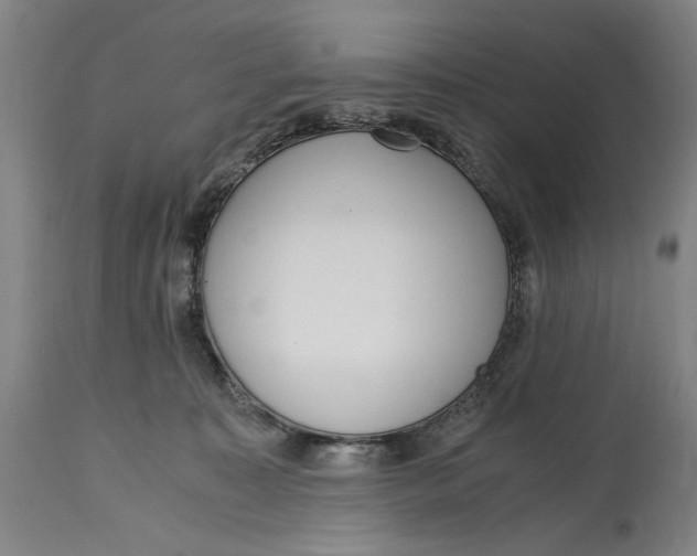 X0000114600323200911161400