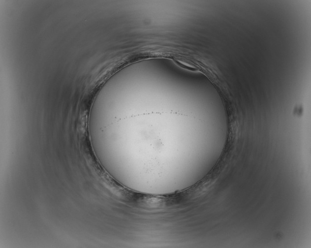 X0000114600325200911161400