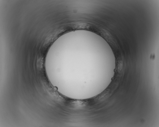 X0000114600326200911161400