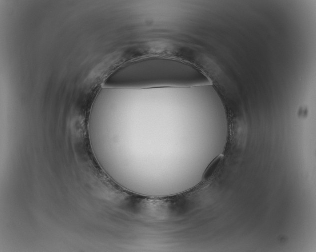 X0000114600327200911161400