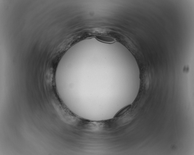 X0000114600328200911161400