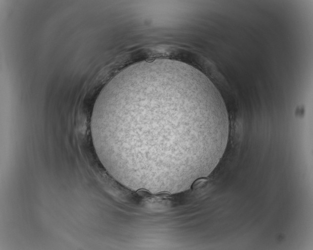 X0000114600331200911161400