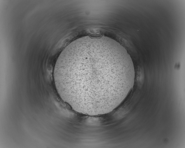 X0000114600332200911161400