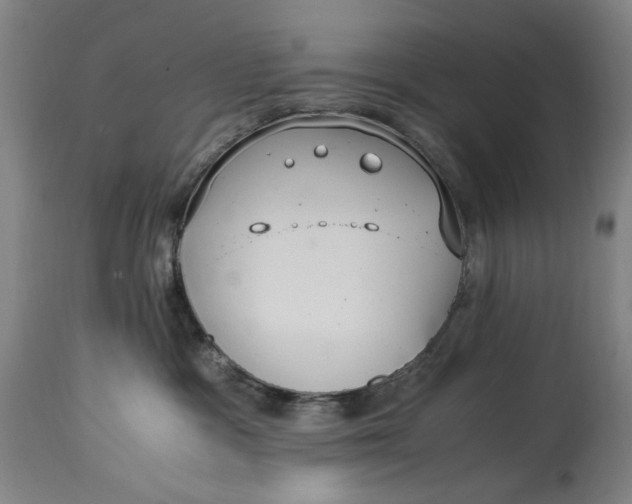 X0000114600333200911161400